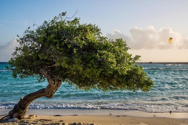 Oranjestad · Palm Beach, Aruba
