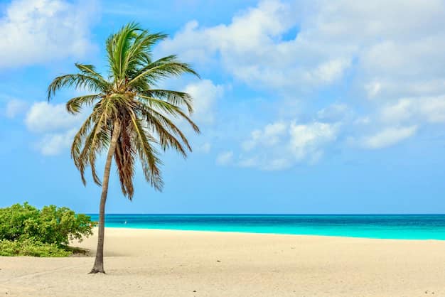 Aruba Travel Guide for Indian Travellers: Beaches, Arikok and the Visa Reality