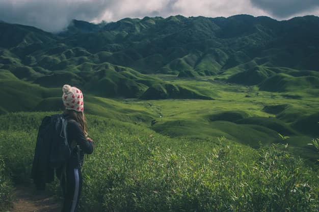 A hiker walking through the rolling green, bamboo-covered hills of the Dzükou Valley in Nagaland, Northeast India