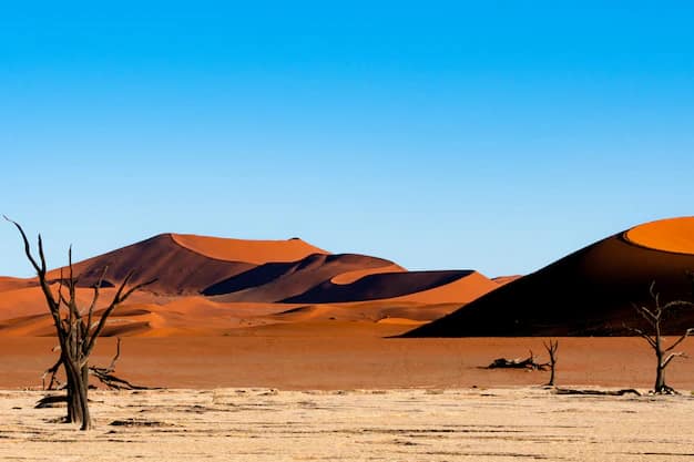 Namibia Travel Guide for Indian Travellers: Sossusvlei's Red Dunes, Deadvlei and Etosha