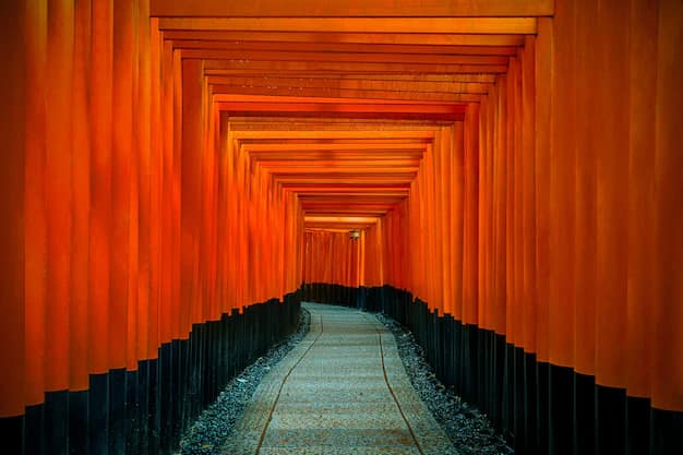 Tokyo · Hakone · Kyoto · Osaka, Japan