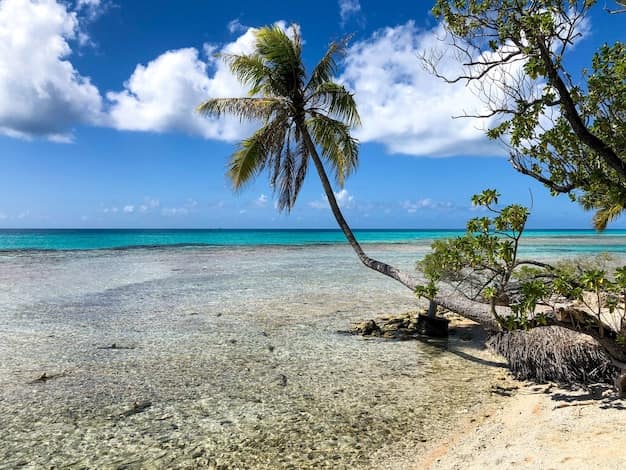 Rangiroa Travel Guide from India: Atolls, Drift Dives and the Other Side of French Polynesia