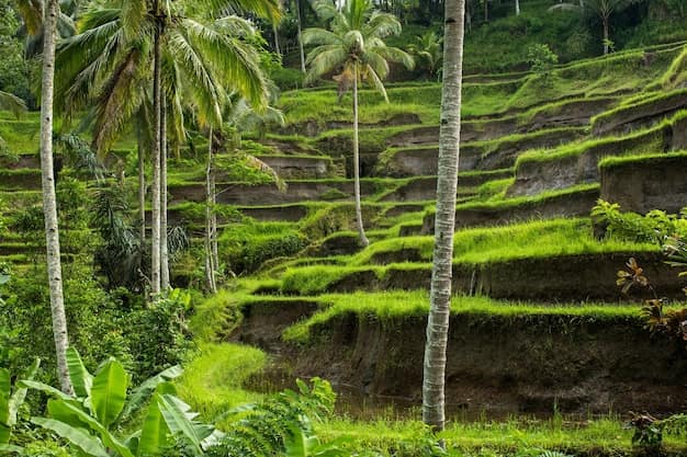 Bali · Ubud · Nusa Penida, Indonesia
