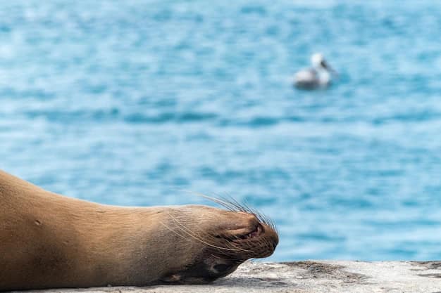 Quito · Galápagos, Ecuador