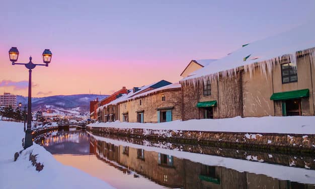 Hokkaido Travel Guide for Indian Travellers: Snow, Onsen, Flower Fields and Otaru