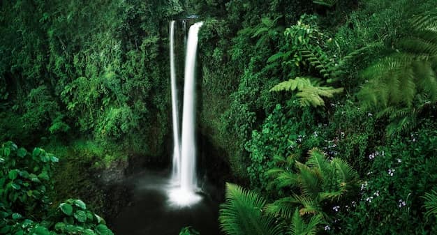 Apia · Upolu · Savai’i, Samoa