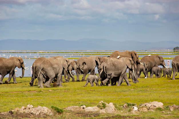 Kenya