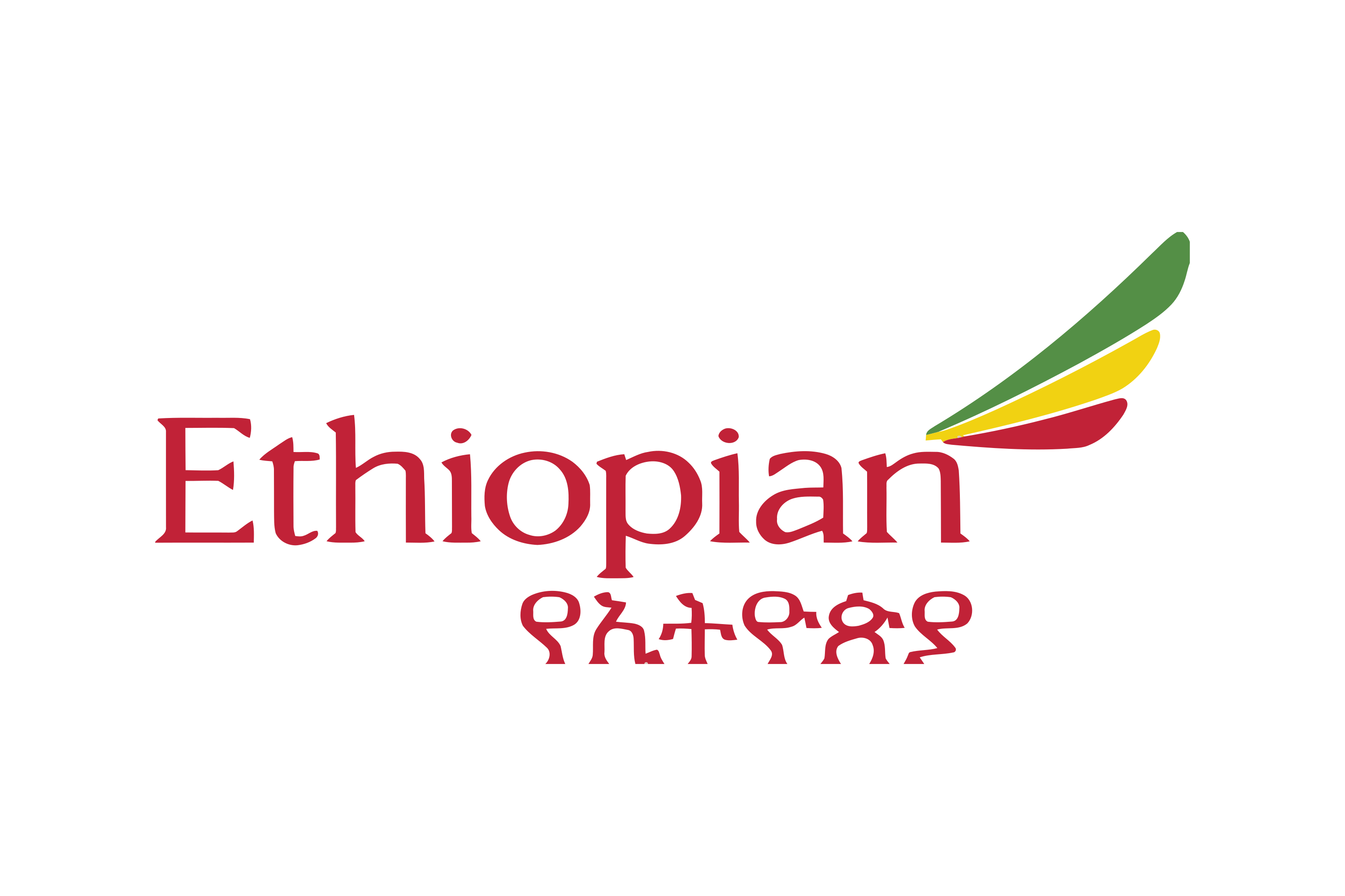 Ethiopian Airlines logo